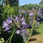 O'maxethel B&B 3*