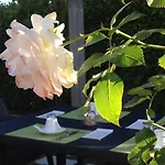B&B O'maxethel 3*