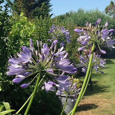 O'maxethel Oda ve Kahvaltı 3*