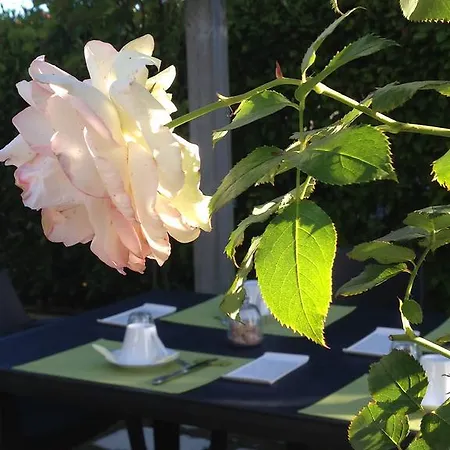 Oda ve Kahvaltı O'maxethel 3*