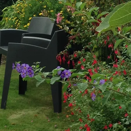 O'maxethel Oda ve Kahvaltı 3*