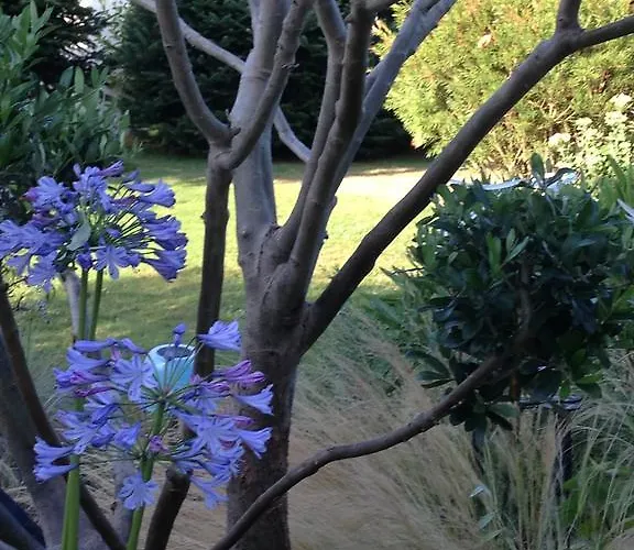 O'maxethel 3* Soullans