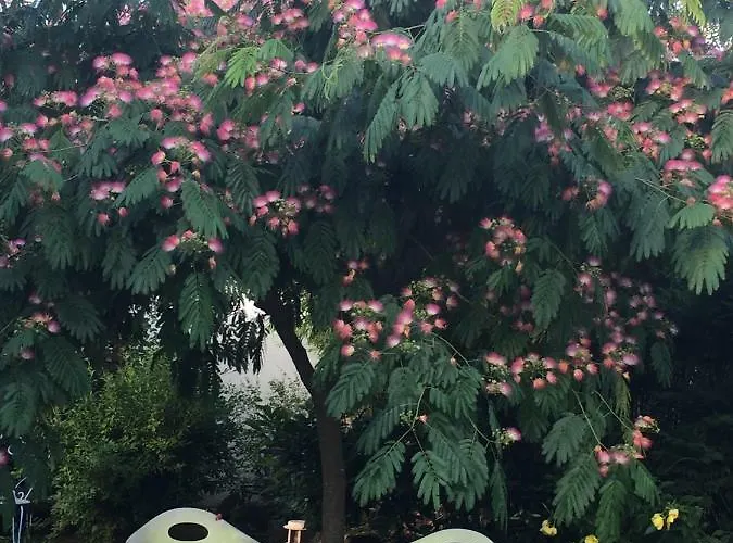 فندق مبيت وإفطار O'maxethel Soullans